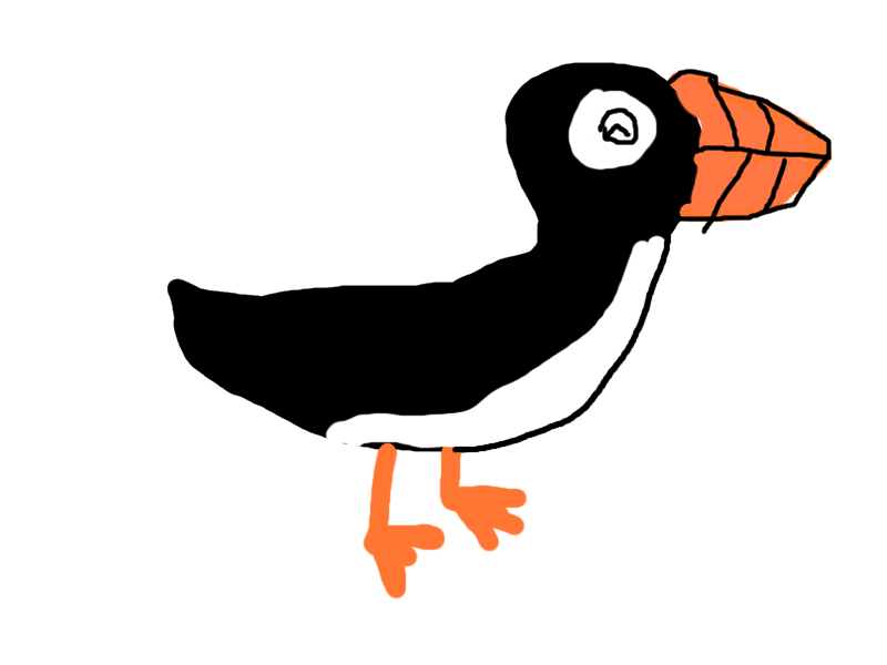 this is an artists representation of a puffin